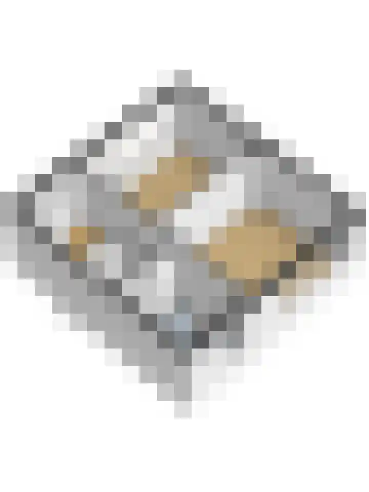 Morlodestraat 18 Krabbendijke thumbnail 41