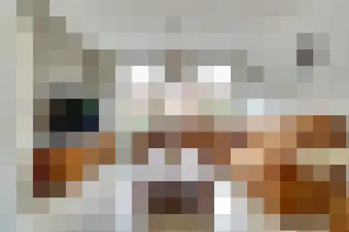 Morlodestraat 18 Krabbendijke thumbnail 6
