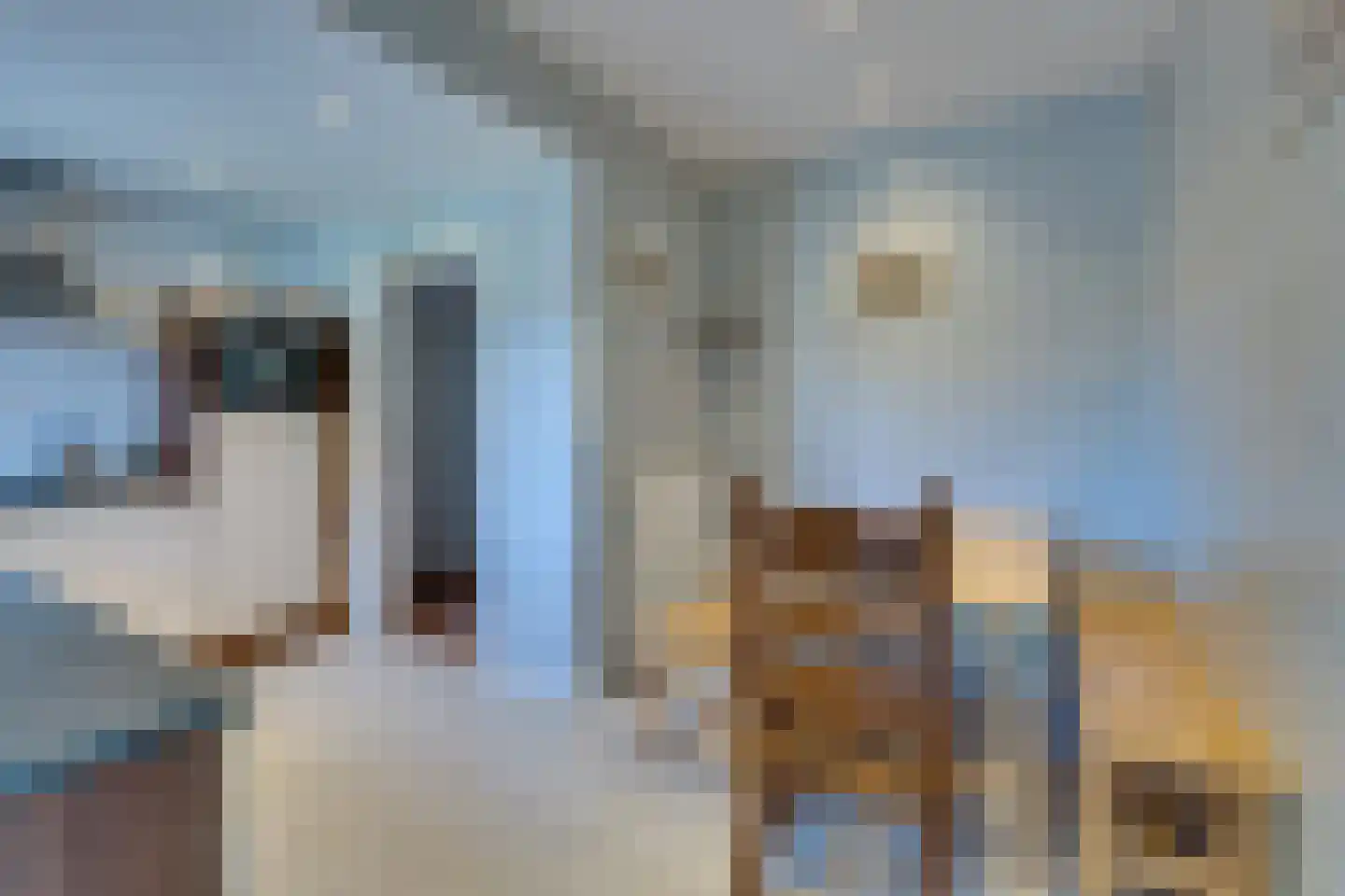 Morlodestraat 55 Krabbendijke thumbnail 13
