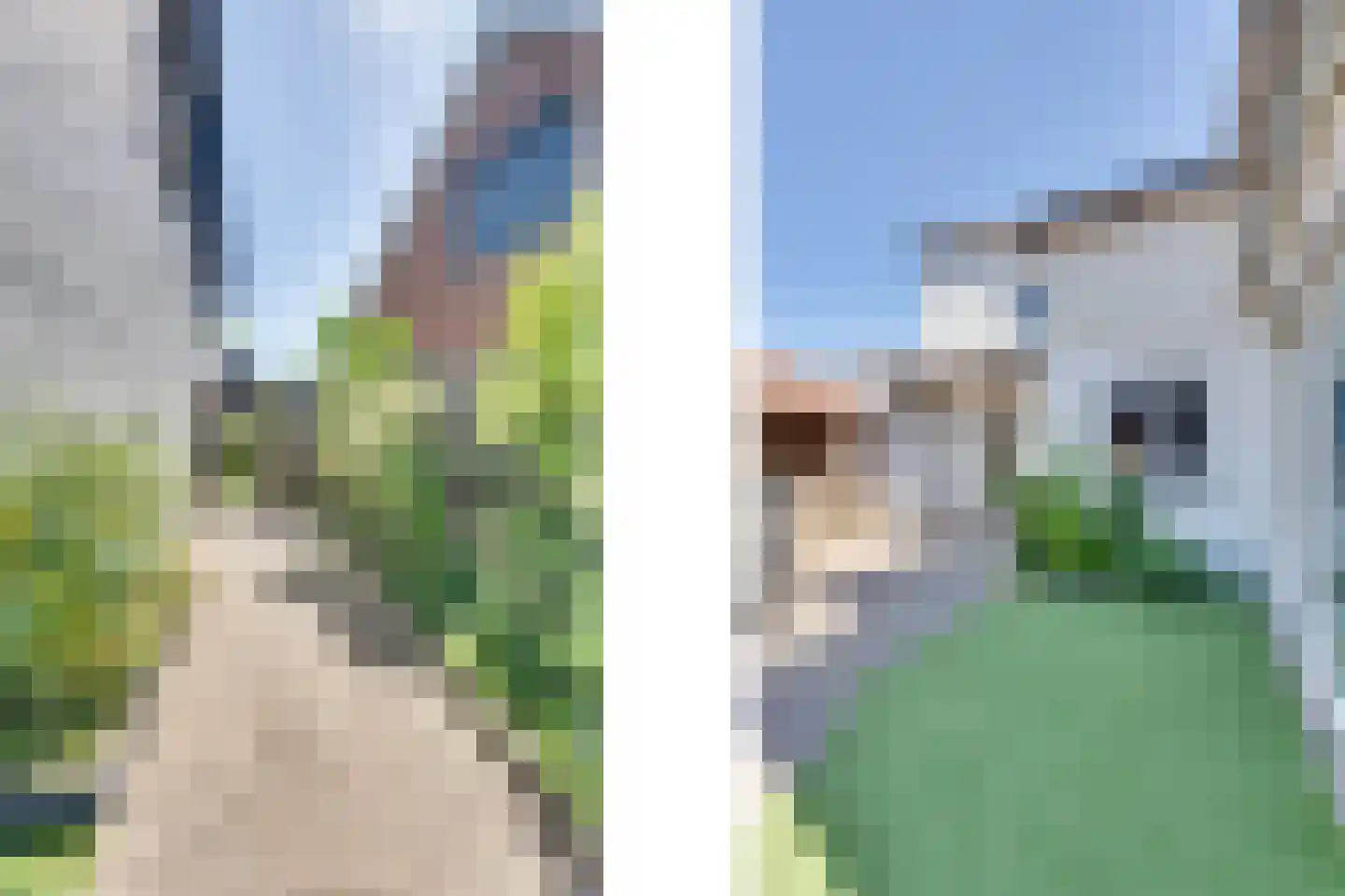 Morlodestraat 55 Krabbendijke thumbnail 29