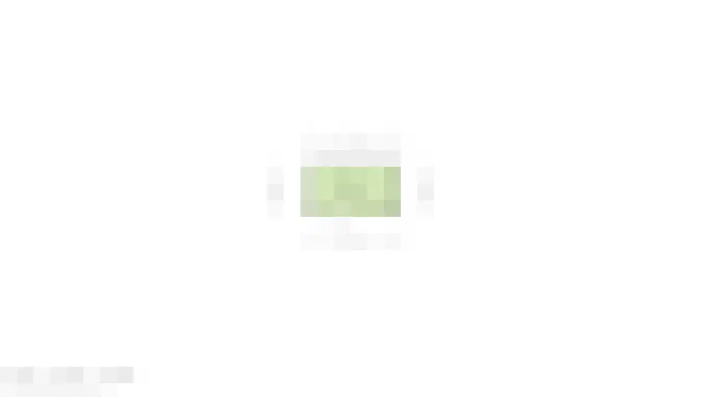 Morlodestraat 55 Krabbendijke thumbnail 34