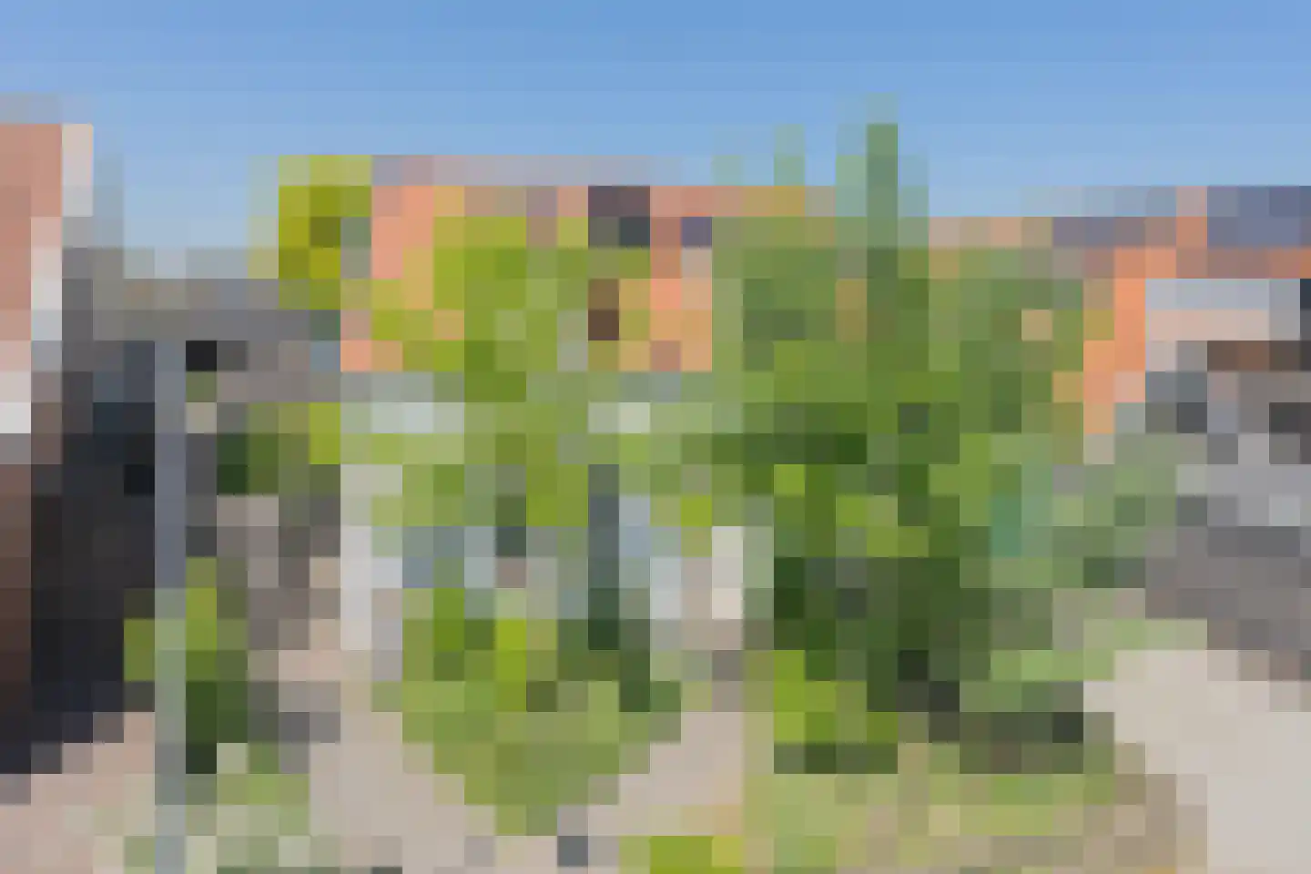 Morlodestraat 55 Krabbendijke thumbnail 4