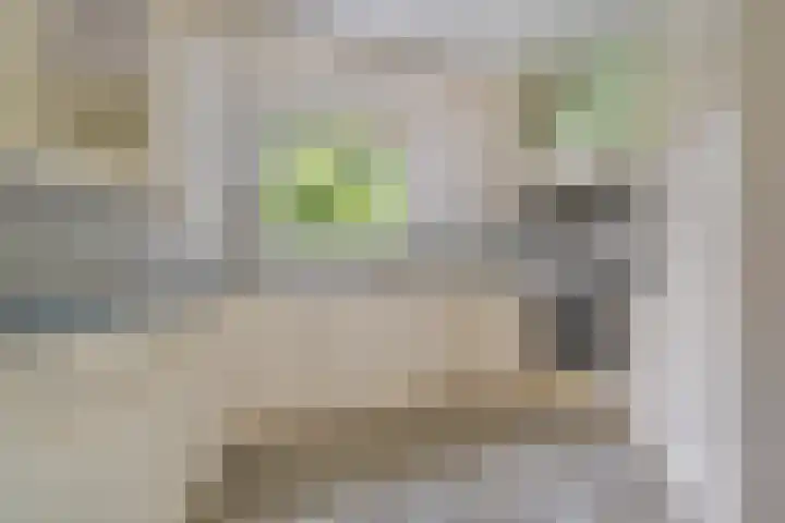 Morra 129 Drachten thumbnail 17