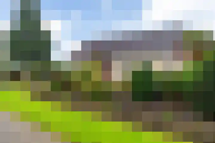 Morra 129 Drachten thumbnail 42