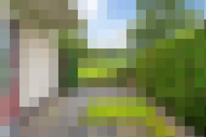 Morra 129 Drachten thumbnail 45