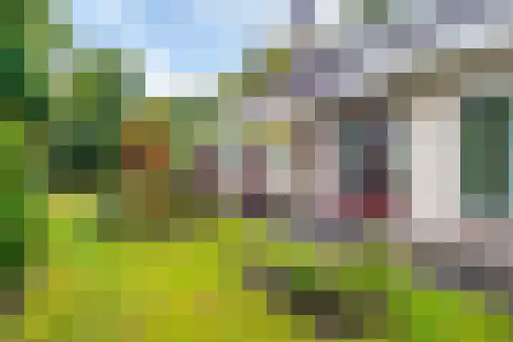 Morra 129 Drachten thumbnail 46