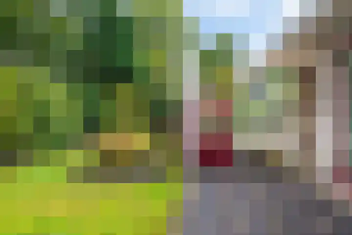 Morra 129 Drachten thumbnail 47