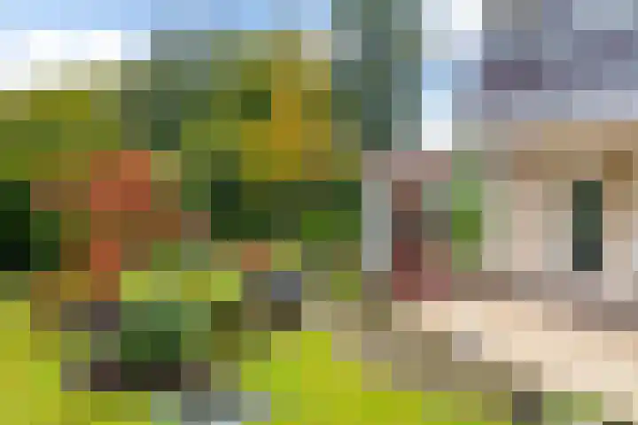 Morra 129 Drachten thumbnail 49