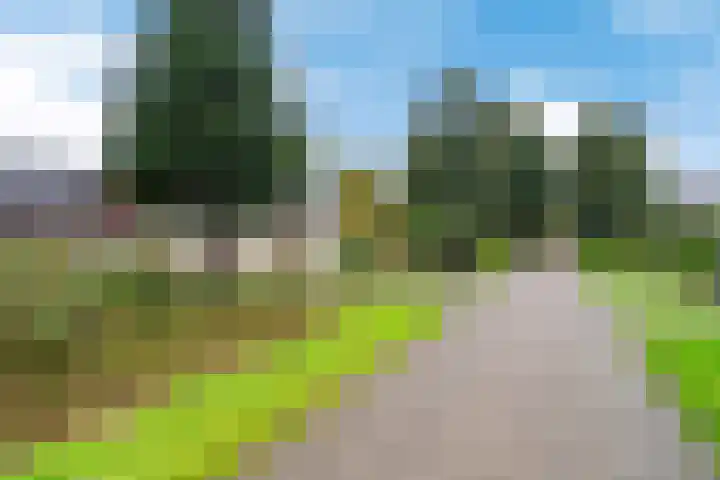 Morra 129 Drachten thumbnail 5