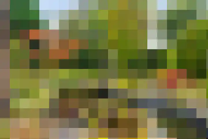 Morra 129 Drachten thumbnail 50