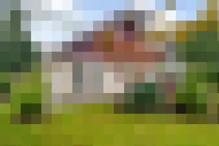 Morra 129 Drachten thumbnail 51