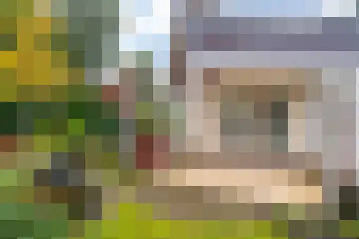 Morra 129 Drachten thumbnail 53