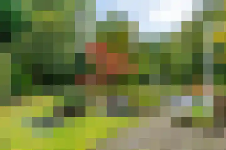 Morra 129 Drachten thumbnail 54