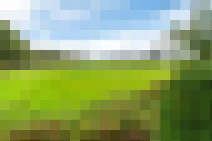 Morra 129 Drachten thumbnail 55
