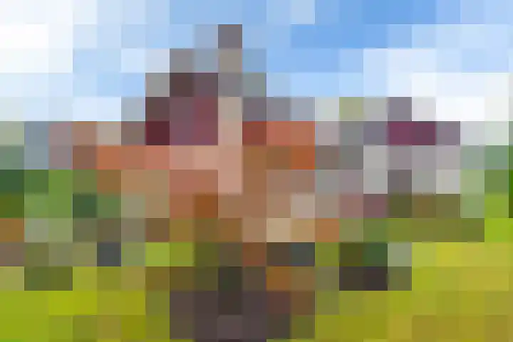 Morra 129 Drachten thumbnail 6