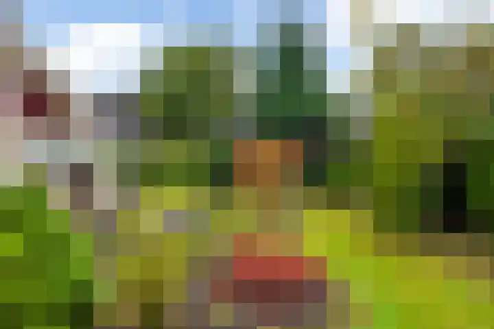 Morra 129 Drachten thumbnail 7