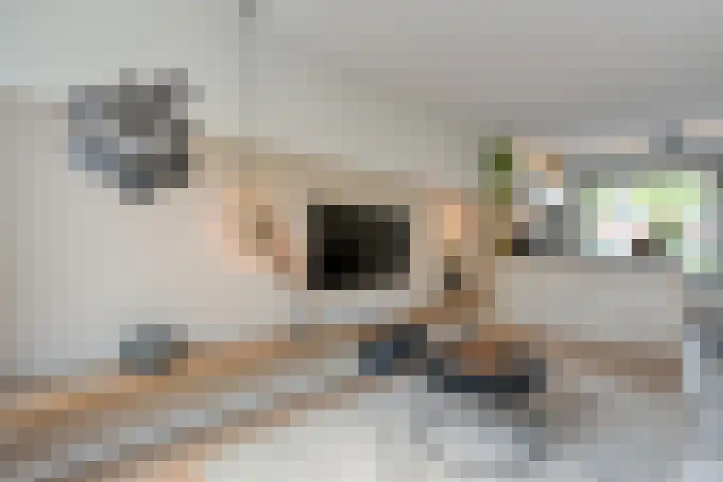 Morra 15 Zwolle thumbnail 14