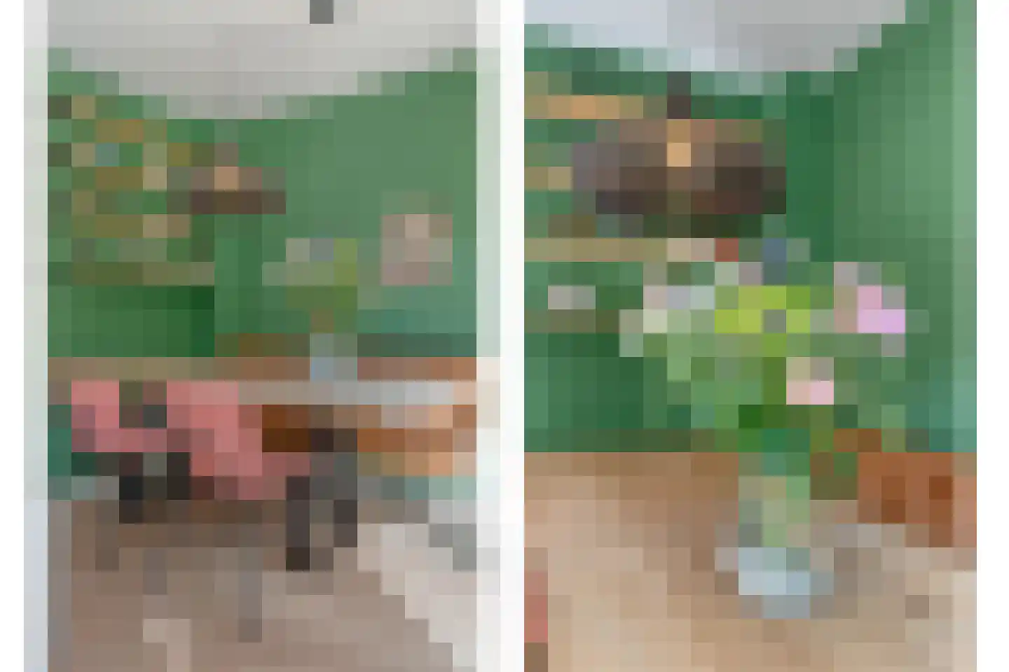 Morra 15 Zwolle thumbnail 19