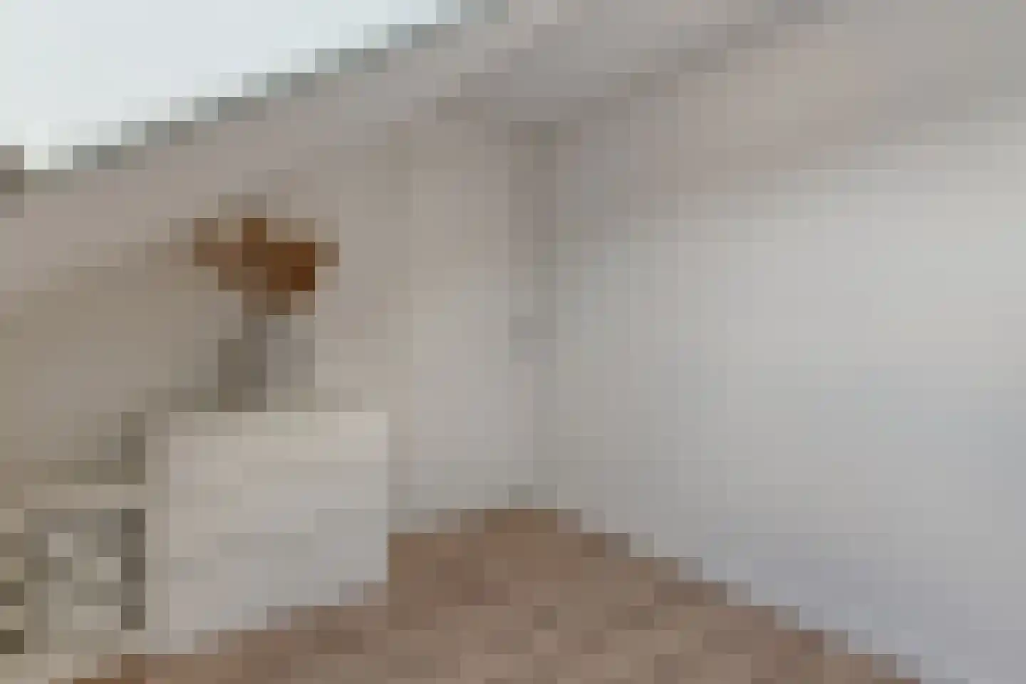 Morra 15 Zwolle thumbnail 40