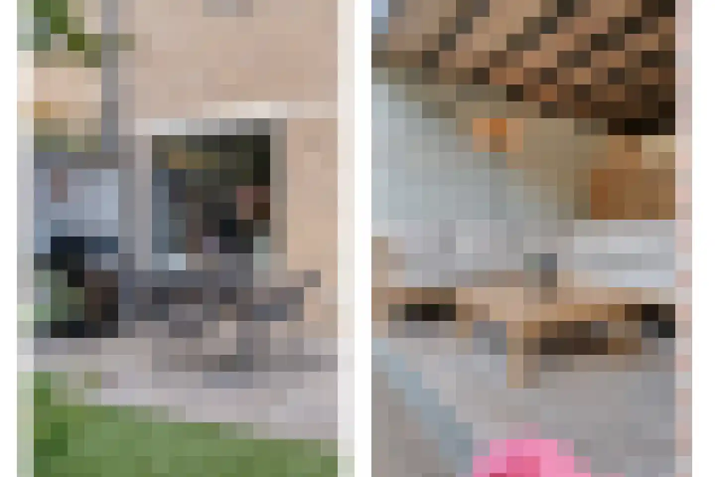 Morra 15 Zwolle thumbnail 43