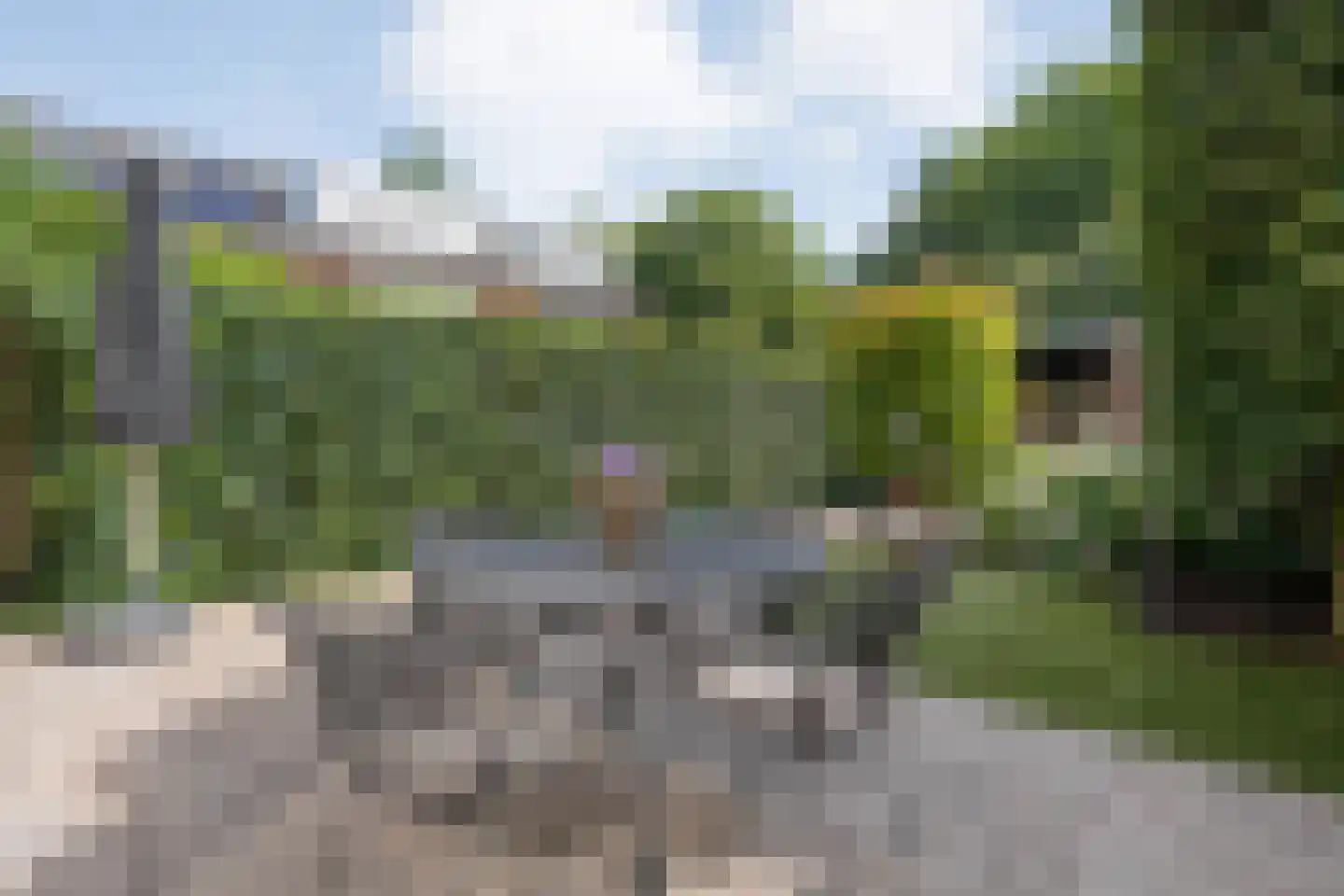 Morra 15 Zwolle thumbnail 45