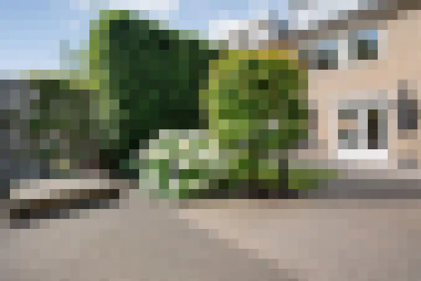 Morra 15 Zwolle thumbnail 47