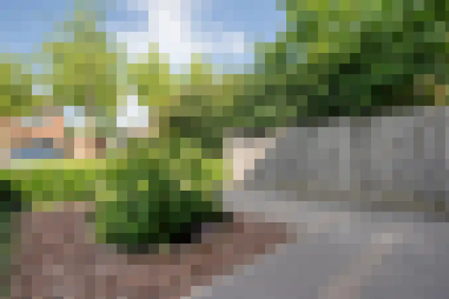 Morra 15 Zwolle thumbnail 7