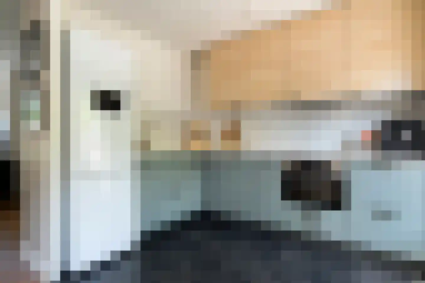 Morra 19 Zwolle thumbnail 10