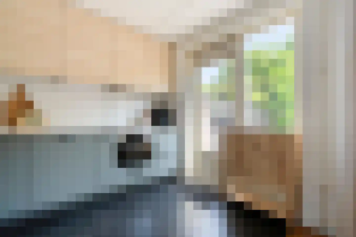 Morra 19 Zwolle thumbnail 11