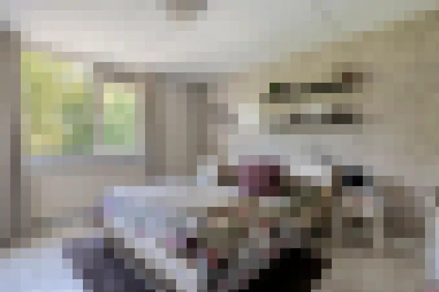 Morra 19 Zwolle thumbnail 17
