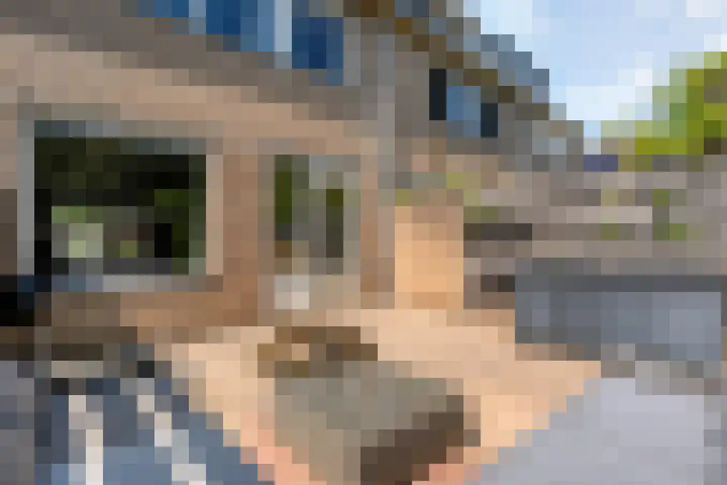 Morra 19 Zwolle thumbnail 29