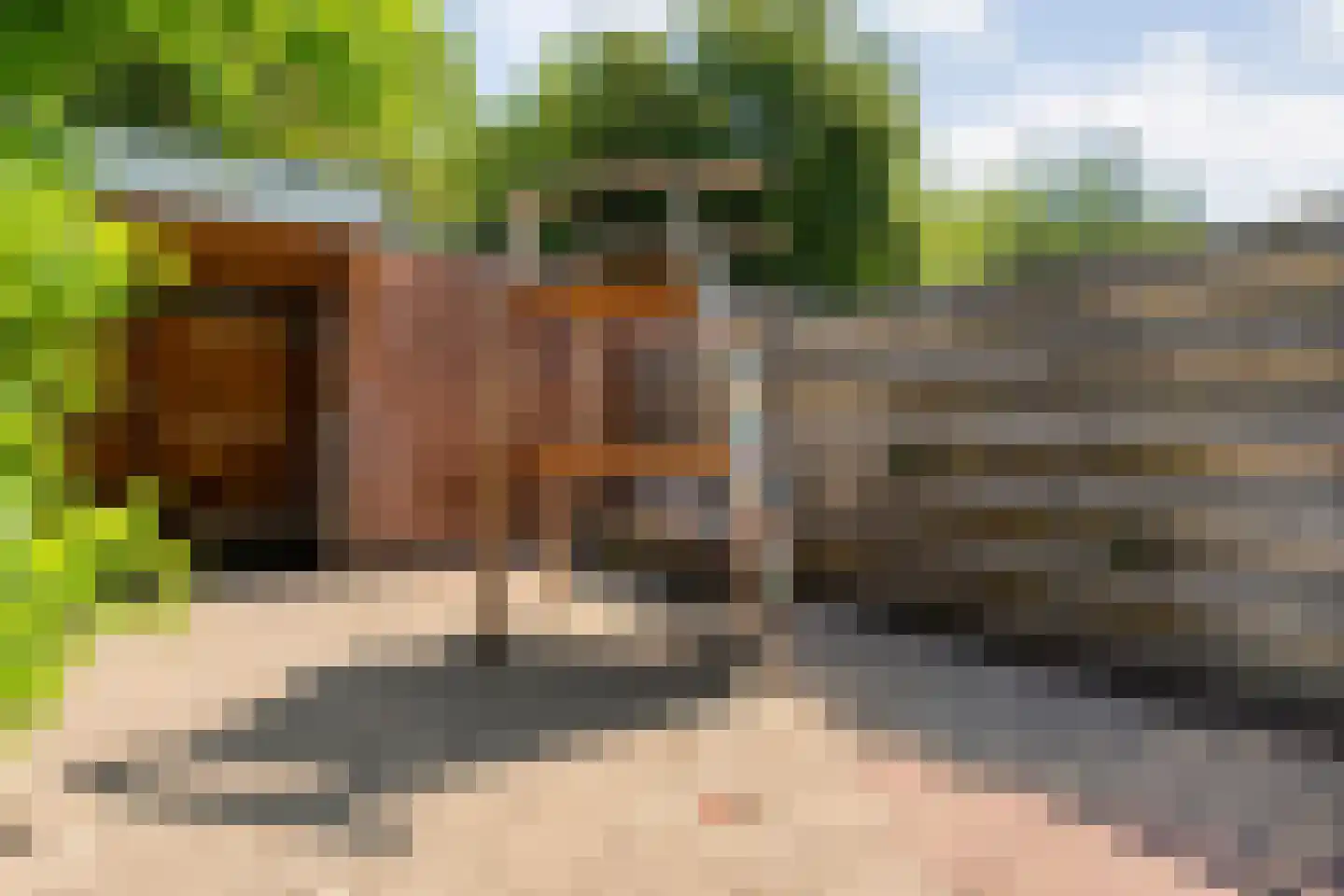 Morra 19 Zwolle thumbnail 30