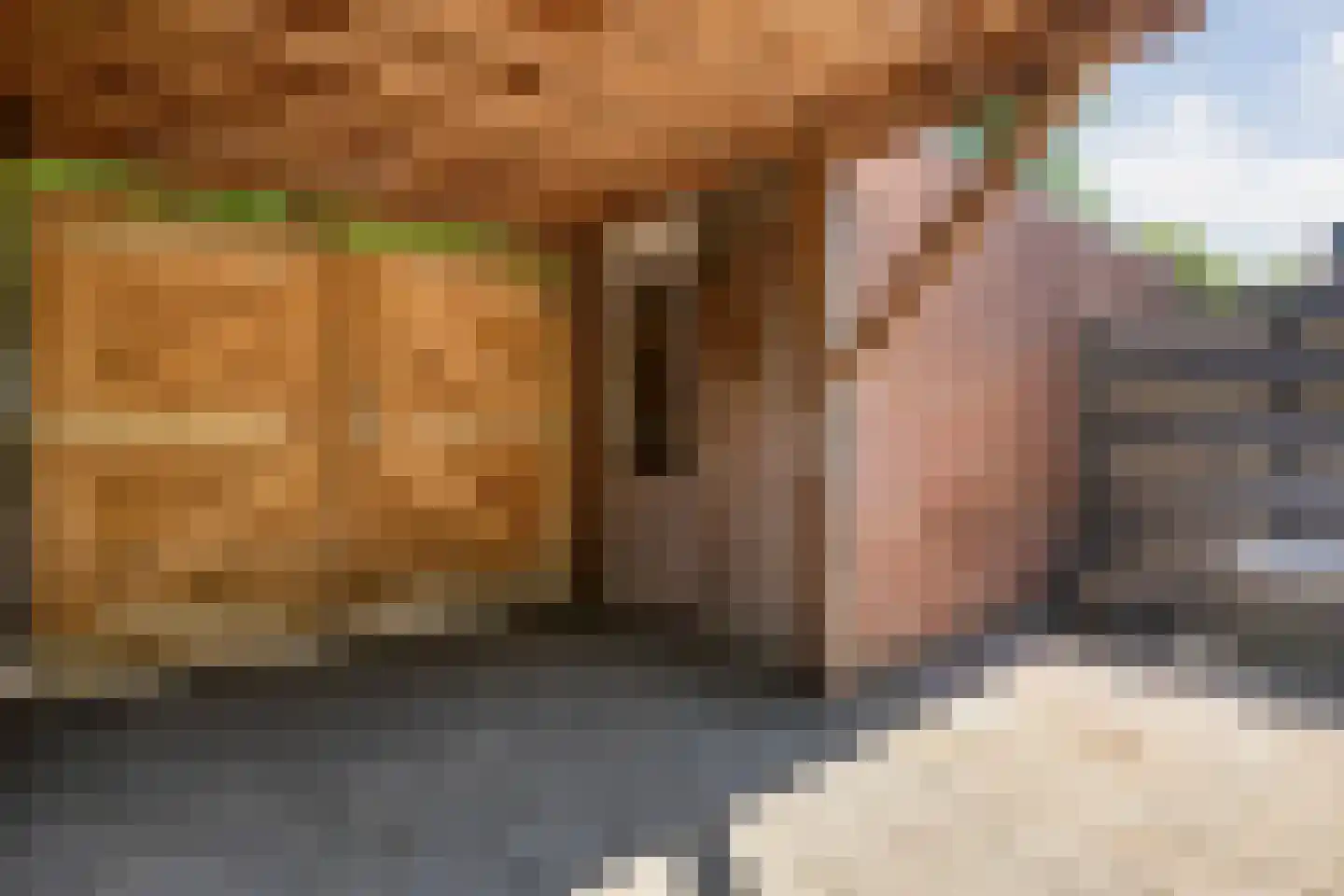 Morra 19 Zwolle thumbnail 32