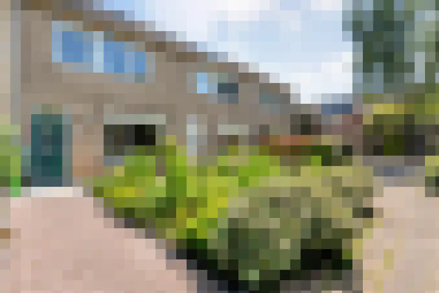 Morra 19 Zwolle thumbnail 37