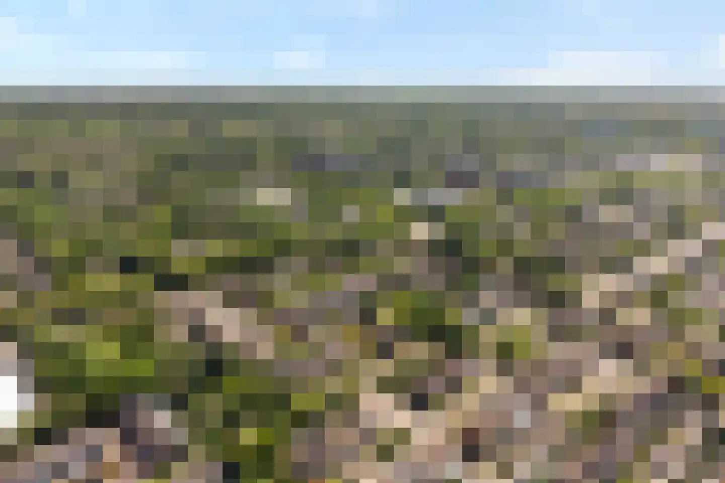 Morra 19 Zwolle thumbnail 42