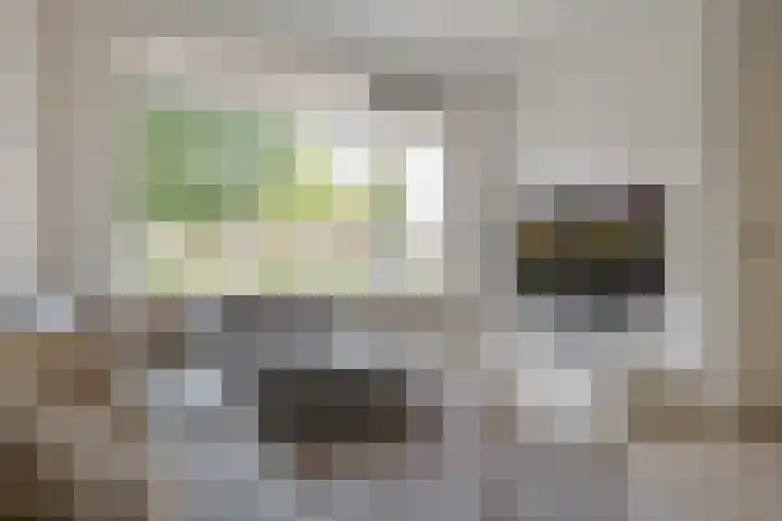 Morra 21 Zwolle thumbnail 11