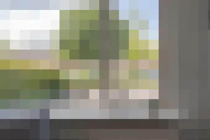 Morra 21 Zwolle thumbnail 12