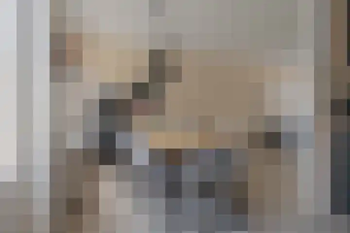 Morra 21 Zwolle thumbnail 17