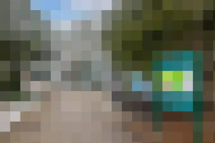 Morra 21 Zwolle thumbnail 18