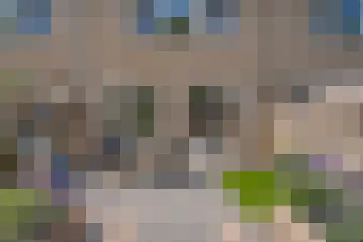 Morra 21 Zwolle thumbnail 40