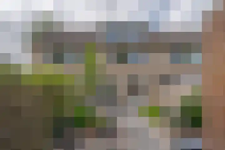 Morra 21 Zwolle thumbnail 46