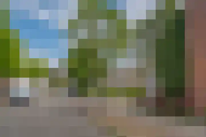 Morra 21 Zwolle thumbnail 49