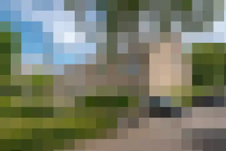 Morra 21 Zwolle thumbnail 5