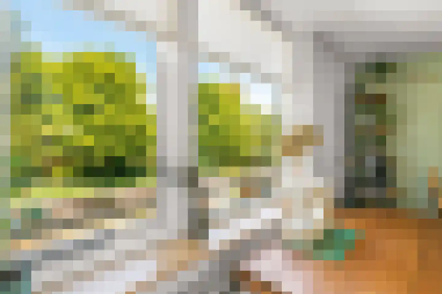 Morra 21 Zwolle thumbnail 6