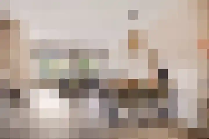 Morra 42 Zwolle thumbnail 10