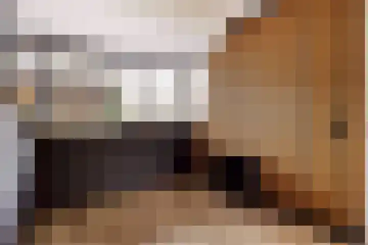 Morra 42 Zwolle thumbnail 17