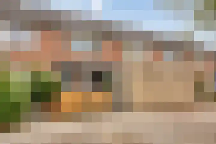 Morra 42 Zwolle foto 2