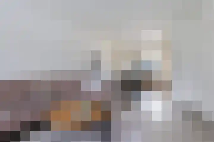 Morra 42 Zwolle thumbnail 23