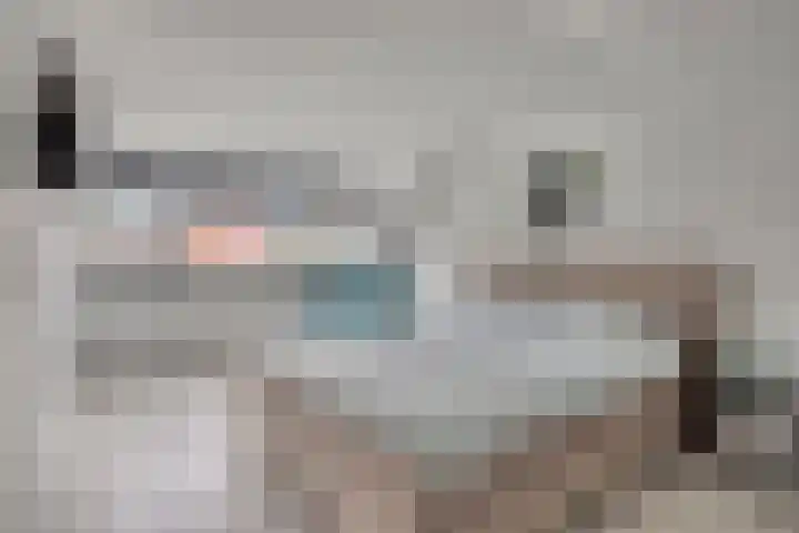 Morra 42 Zwolle thumbnail 29