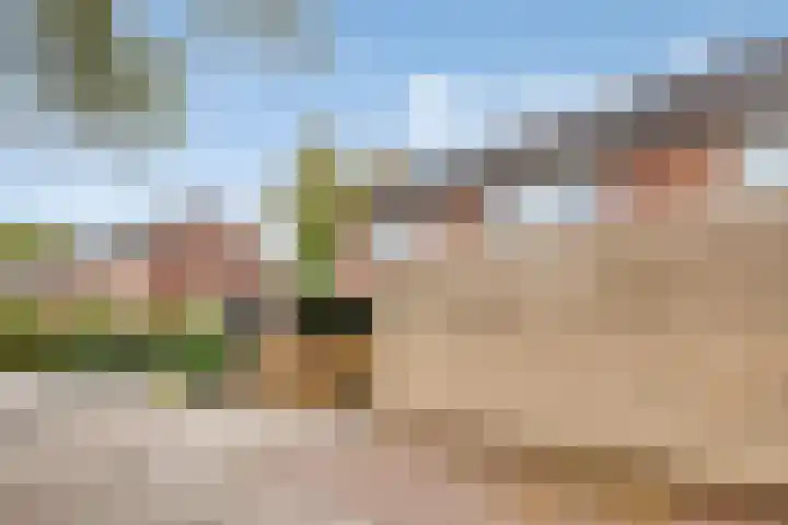 Morra 42 Zwolle thumbnail 37